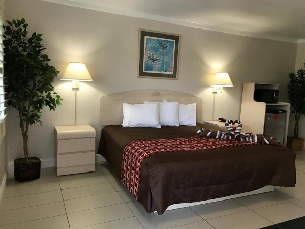 Apollo Inn - Cocoa image 11