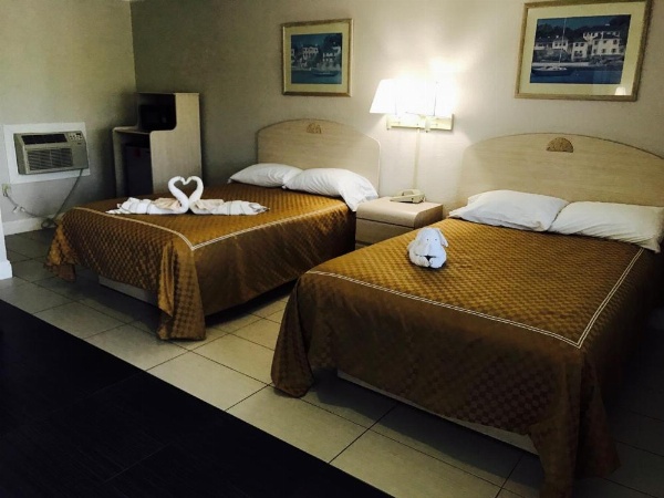 Apollo Inn - Cocoa image 17