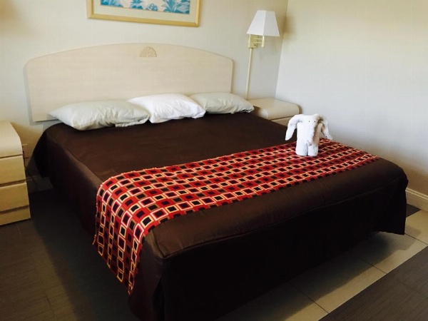 Apollo Inn - Cocoa image 18