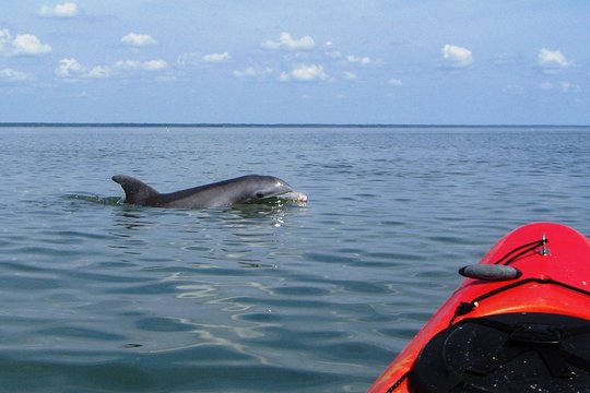 Tour image 4