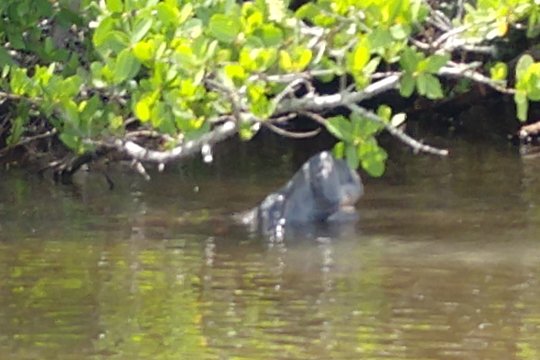 Tour image 5