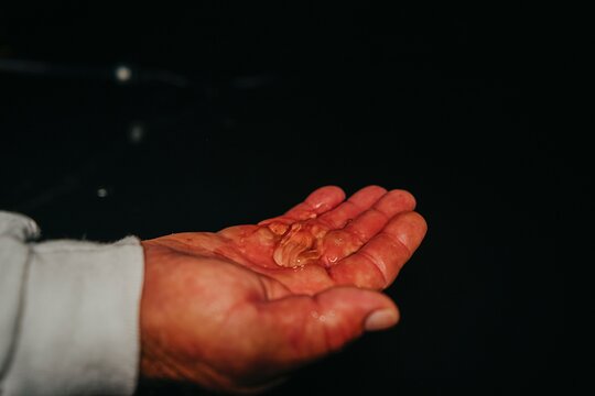 Tour image 13
