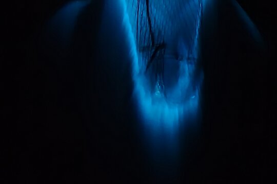 Tour image 3